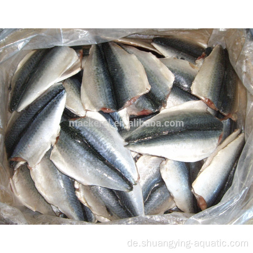 Frozen Pacific Makrele Klappen Fisch 70-150 g 100-200G